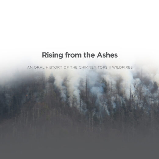 Image of forest on fire with text "Rising from the Ashes"