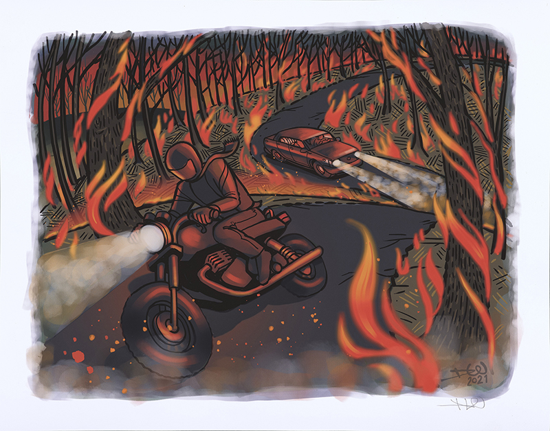 Illustration by Danny Wilson (Rising from the Ashes: The Chimney Tops 2 Wildfires in Memory and Art, UT Libraries)